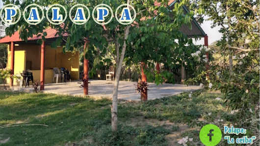 Palapa" La Ceiba"-c28